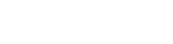 AiSee FACE Mobile 1